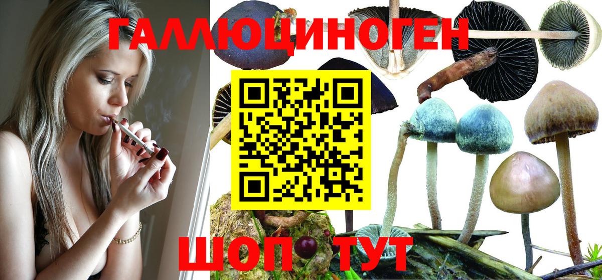 Галлюциногенные грибы прущие грибы Муравленко